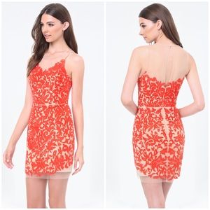 BeBe Rosa embroidered laced sheer dress